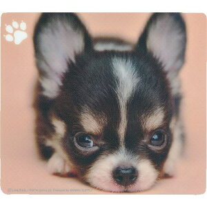 SANWA }EXpbh(`)ki:MPD215Cly2032092:0z[ʓrς][fO][Xs]