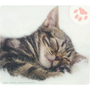 SANWA }EXpbh(AJV[gwA)ki:MPD215Dly2032613:0z[ʓrς][fO][Xs]