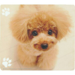 SANWA }EXpbh(eB[Jbvv[h)ki:MPD215Bly2032814:0z[ʓrς][fO][Xs]