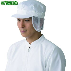 TriApex N[LbvJA470A-02(u[)-Mki:JA470A02Mly2034419:0z[ʓrς][fO][Xs]