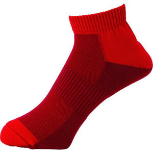 ~hS SCpC tBbg\bNX V[g^Cv _[Nbhki:TFS02DRDly2052592:0z[ʓrς][fO][Xs]