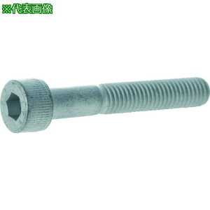 ���y�݌Ɍ���zTRUSCO ���x�敪14.9�����x�Z�p���t�{���g �f���^�v���e�N�g ���l�W M10×50 2�{�� /�L���b�v�{���g(CAP)�k�i��:Y149D1050�l�y2063948:0�z[�X�����s��]