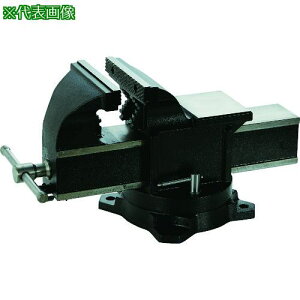 TRUSCO ]tAroCX(NCbNJ^Cv)200mmki:TVRQ200Aly2067017:0z[Xs]