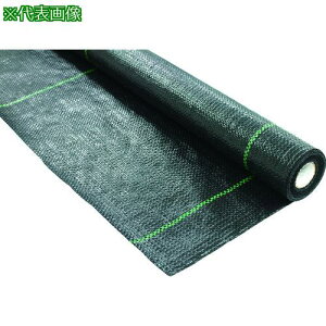 ��TRUSCO �h���V�[�g �ό�5�N 2M×20M�k�i��:BOS32020�l�y2072050:0�z[�����ʓr���ς�][�@�l�E���Ə�����][����][�X�����s��]