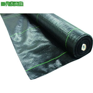 TRUSCO hV[g ό3~5N 2M×50Mki:BOS32050ly2072051:0z[ʓrς][@lEƏ][][Xs]