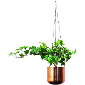 KOKUYO CO[ lHA ACr[ Jo[݂A~ki:AEGHSIV05CP1ly2072858:0z[ʓrς][@lEƏ][][Xs]