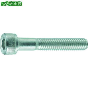 TRUSCO Zpt{g XeX lW M12×60 3{ /Lbv{g(CAP)ki:B441260ly2073262:0z[Xs]