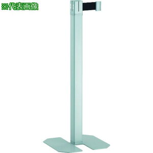 ��TRUSCO �x���g�p�[�e�[�V���� �V���o�[ �x���g�J���[���b�h�k�i��:TABPSVR�l�y2076245:0�z[�X�����s��]