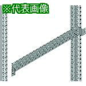 ��Nito FCX�V�X�e�����[�� FCX21-Z7AF2 2����1�Z�b�g�k�i��:FCX21Z7AF2�l�y2114983:0�z[�����ʓr���ς�][�f�O���][�X�����s��]