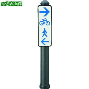���ϐ� �E���^�����������{���[�h �T�C���^�C�v �Ж� ���^���b�N�u���E�� �Œ莮�y���ԋ֎~�zB-01�s5�{���t�k�i��:SDK7DSB80B01�l�y2115375×5:0�z[�����ʓr���ς�][�@�l�E���Ə�����][�O����][�X��