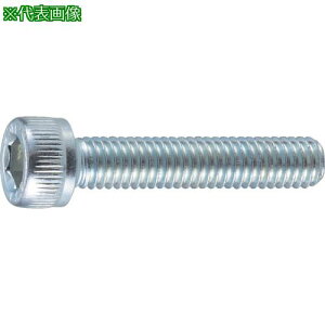 ��TRUSCO �Z�p���t�{���g ���j�N�� �S�l�W M5×15 48�{�� /�L���b�v�{���g(CAP)�k�i��:B620515�l�y2123983:0�z[�X�����s��]