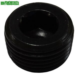 RmG MIC e[p[vO F_疌 1J (2)ki:M0960001ly2136039:0z[ʓrς][fO][Xs]