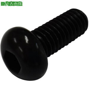 ���R�m�G MIC �Z�p���t���{�^���{���g ���F�_���疌 12x30 (9�{��)�k�i��:M0741230�l�y2136129:0�z[�����ʓr���ς�][�f�O���][�X�����s��]