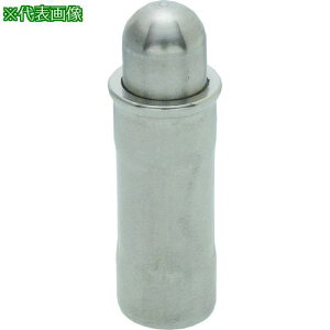 ��kipp �X�e�����X�P�[�X �v�����W���[�k�i��:SSPS10�l�y2148750:0�z[�����ʓr���ς�][�f�O���][�X�����s��]