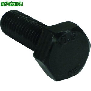 ���R�m�G ���x�敪10.9 �Z�p�{���g �S�˂� M8x12 (100�{��)�k�i��:BT109F812�l�y2151560:0�z[�����ʓr���ς�][�f�O���][�X�����s��]