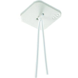 NEGUROSU Se[vP[uxki:HEGT1Ely2152579:0z[ʓrς][fO][Xs]