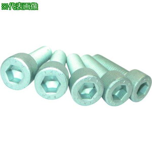 ���R�m�G ���x�敪14.9�����x�Z�p���t���{���g �f���^�v���e�N�g �S�l�W 8×16�s5�{���t�k�i��:CS149DPF816�l�y2156282×5:0�z[�����ʓr���ς�][�f�O���][�X�����s��]