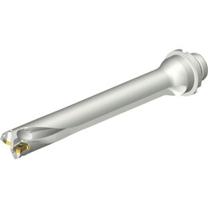 ��SANDVIK �R���h����DS20�n��������h����(465)�k�i��:DS20D2380DM2507�l�y2160989:0�z[�����ʓr���ς�][�X�����s��]