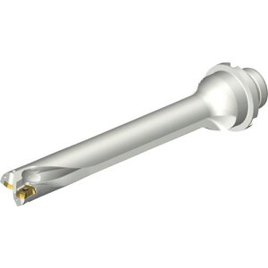 ��SANDVIK �R���h����DS20�n��������h����(465)�k�i��:DS20D2000DM2507�l�y2162500:0�z[�����ʓr���ς�][�X�����s��]