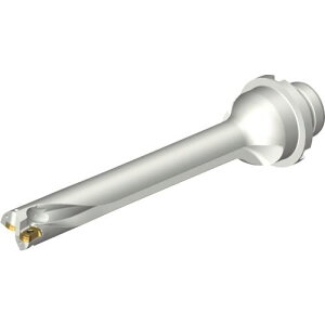 ��SANDVIK �R���h����DS20�n��������h����(465)�k�i��:DS20D1745DM2507�l�y2162529:0�z[�����ʓr���ς�][�X�����s��]
