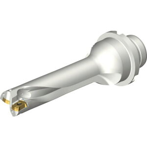 ��SANDVIK �R���h����DS20�n��������h����(465)�k�i��:DS20D1900DM2504�l�y2162553:0�z[�����ʓr���ς�][�X�����s��]