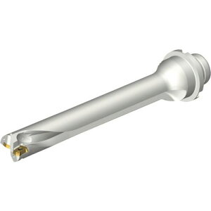 ��SANDVIK �R���h����DS20�n��������h����(465)�k�i��:DS20D2100DM2507�l�y2162557:0�z[�����ʓr���ς�][�X�����s��]
