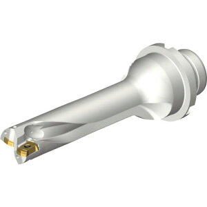 ��SANDVIK �R���h����DS20�n��������h����(465)�k�i��:DS20D1905DM2504�l�y2162576:0�z[�����ʓr���ς�][�X�����s��]