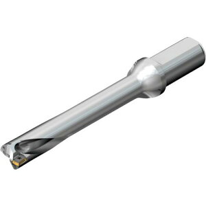 ��SANDVIK �R���h����DS20�n��������h����(465)�k�i��:DS20D3400L4006�l�y2164067:0�z[�X�����s��]