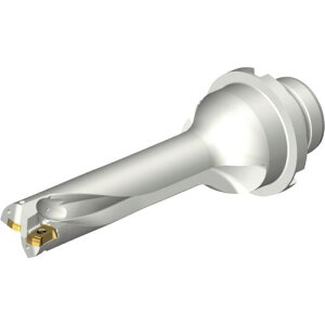 ��SANDVIK �R���h����DS20�n��������h����(465)�k�i��:DS20D1745DM2504�l�y2164097:0�z[�����ʓr���ς�][�X�����s��]