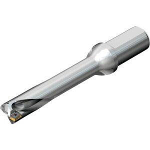��SANDVIK �R���h����DS20�n��������h����(465)�k�i��:DS20D3400L4005�l�y2164118:0�z[�X�����s��]