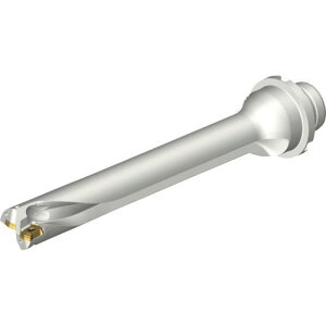 ��SANDVIK �R���h����DS20�n��������h����(465)�k�i��:DS20D2062DM2507�l�y2164126:0�z[�����ʓr���ς�][�X�����s��]