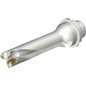��SANDVIK �R���h����DS20�n��������h����(465)�k�i��:DS20D2223DM2504�l�y2164138:0�z[�����ʓr���ς�][�X�����s��]
