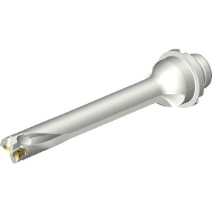 ��SANDVIK �R���h����DS20�n��������h����(465)�k�i��:DS20D1800DM2507�l�y2164168:0�z[�����ʓr���ς�][�X�����s��]