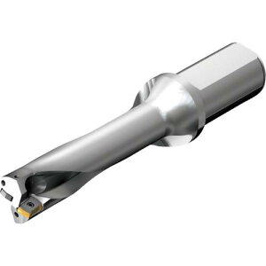 ��SANDVIK �R���h����DS20�n��������h����(465)�k�i��:DS20D3400L4004�l�y2164173:0�z[�X�����s��]