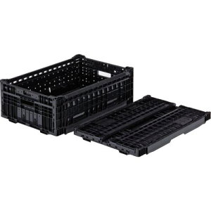 TR[ ܂肽݃Rei[ 556230 IREP39Aki:SKOEP39ABKly2165276:0z[Xs]