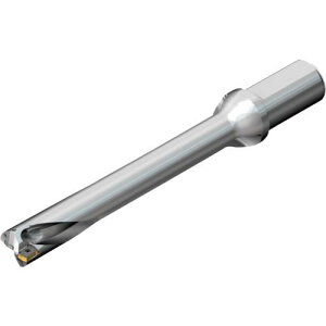 ��SANDVIK �R���h����DS20�n��������h����(465)�k�i��:DS20D3400L4007�l�y2165647:0�z[�X�����s��]