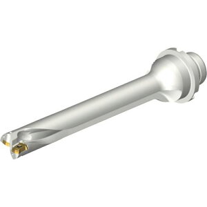 ��SANDVIK �R���h����DS20�n��������h����(465)�k�i��:DS20D1905DM2507�l�y2165652:0�z[�����ʓr���ς�][�X�����s��]