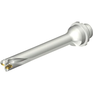 ��SANDVIK �R���h����DS20�n��������h����(465)�k�i��:DS20D1900DM2507�l�y2165670:0�z[�����ʓr���ς�][�X�����s��]