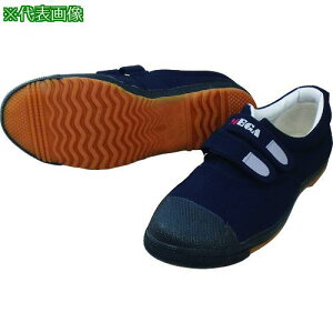 쑽 vc낤 DK530 lCr[ 24.0ki:DK530NV24.0ly2172804:0z[ʓrς][fO][Xs]