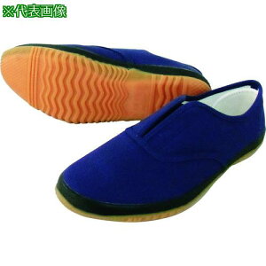 ���쑽 �����낤 DK500 �l�C�r�[ 27.0�k�i��:DK500NV27.0�l�y2174403:0�z[�X�����s��]