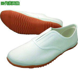 ���쑽 �����낤 DK500 �z���C�g 26.5�k�i��:DK500WH26.5�l�y2174404:0�z[�X�����s��]