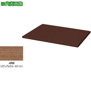 NAIKI [ CW^ V (ʁEЖʌp 20mm)ώw䐫~ ~fBAEH[ibgki:CW600TPUMWly2177490:0z[ʓrς][@lEƏ][O][Xs]