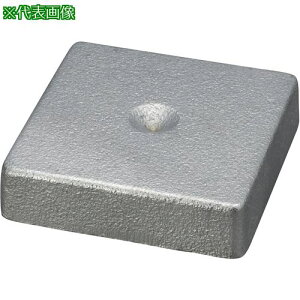 IWATA xOv[g p^/Ski:LPS-1010ly2223848:0z[ʓrς][fO][Xs]