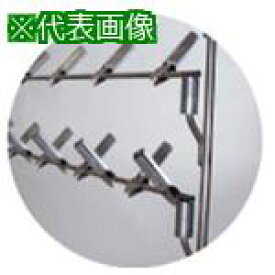 ■IWATA レベルバー/BHL〔品番:HCLBHL22519-P〕【2227655:0】[送料別途見積り][掲外取寄][店頭受取不可]