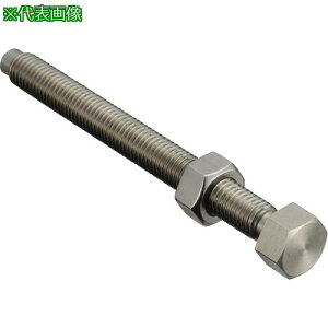 ��IWATA �A�W���X�g�{���g A�^�C�v/SUS ���ځk�i��:LBNS-A16�l�y2232615:0�z[�����ʓr���ς�][�f�O���][�X�����s��]