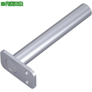 ��IWATA �t�����W�t �����V���t�g�k�i��:FSFMFS300-14S�l�y2233046:0�z[�����ʓr���ς�][�f�O���][�X�����s��]