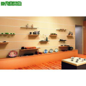 ��SUGATSUNE (130031202)VT-DS-X-800/�����t�I��V�X�e���k�i��:VTDSX800�l�y2236004:0�z[�����ʓr���ς�][�f�O���][�X�����s��]