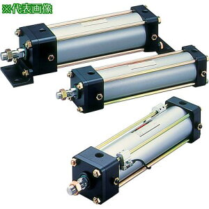 ��TAIYO ��C���V�����_�k�i��:10A2TA100B200YB�l�y2239068:0�z[�@�l�E���Ə�����][�O������][�X�����s��]