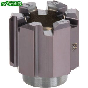 ���^���K���C ���[���E�}�C�X�^�[ �~�܂茊�p���a�t�����[�}�w�b�h HRM-AS AH725�k�i��:HRM15.000AST6�l�y2250921:0�z[�����ʓr���ς�][�f�O���][�X�����s��]