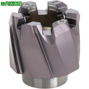 ���^���K���C ���[���E�}�C�X�^�[ �ђʌ��p���˂���a�t�����[�}�w�b�h HRM-BLT AH725�k�i��:HRM32.000BLT9�l�y2254072:0�z[�����ʓr���ς�][�f�O���][�X�����s��]